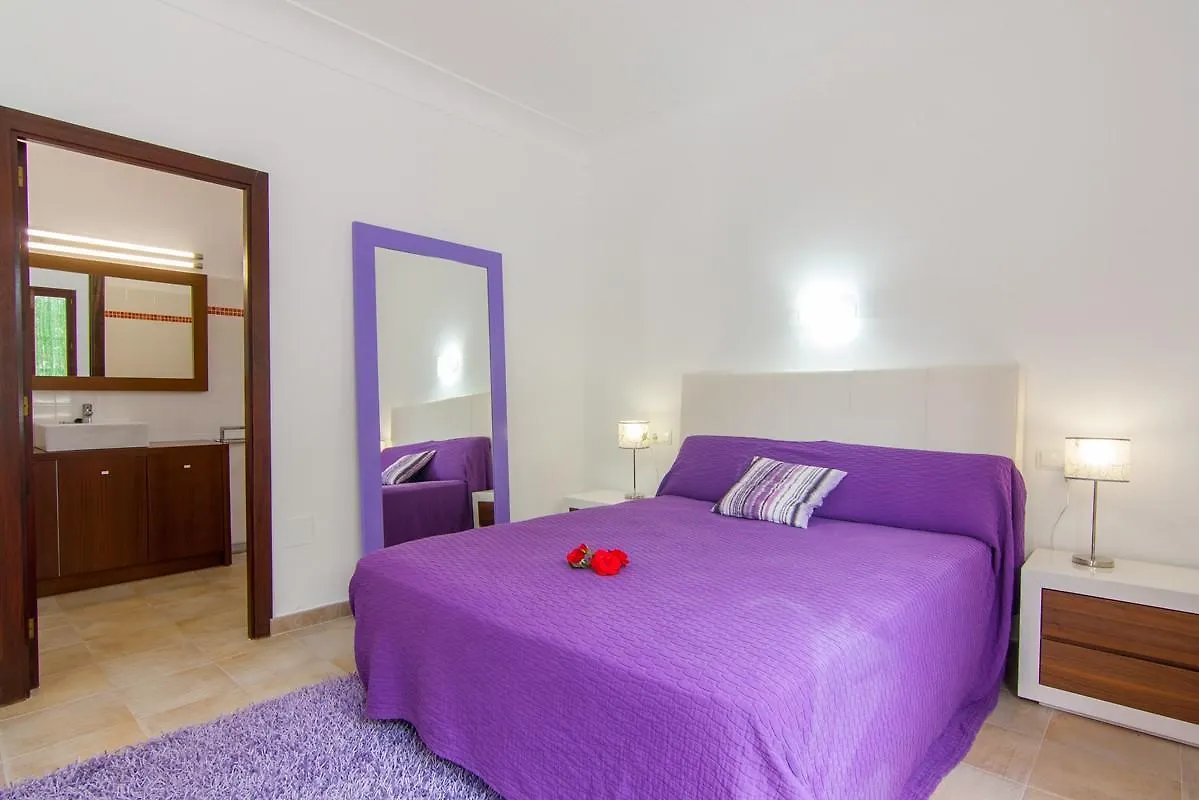 Chalet Villa Comes